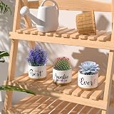 TuDou Best Auntie Ever Ceramic Succulent Pots Gift Set view 5