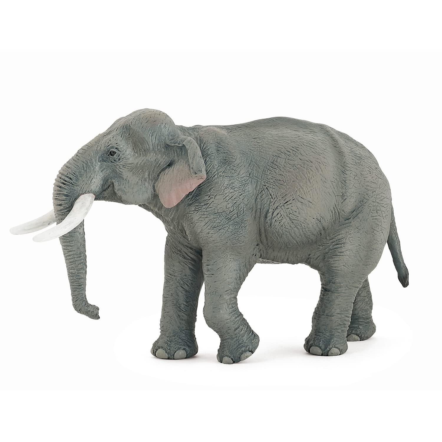 Papo - Realistic Asian Elephant Figure - Ages 3+ - Wild Life Collection - Educational Play Asian Wildlife - Gift Idea Toy for Girls and Boys