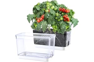 Oliz Self Watering Planter, 2 Pack African Violet Pots, Rectangular Self-Watering Planters Box Transparent for Devil's Ivy, Spider Plant, Orchid. flower planting and Small Vegetables for Home & Office