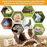 BBjinronjy Hamster Chew Toys Set Wooden Molar Tools for Small Rodents view 4