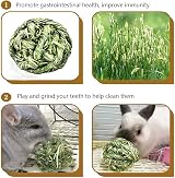 CAMITER 6pcs Timothy Grass Rabbit Chew Ball Small Animal Toys view 4