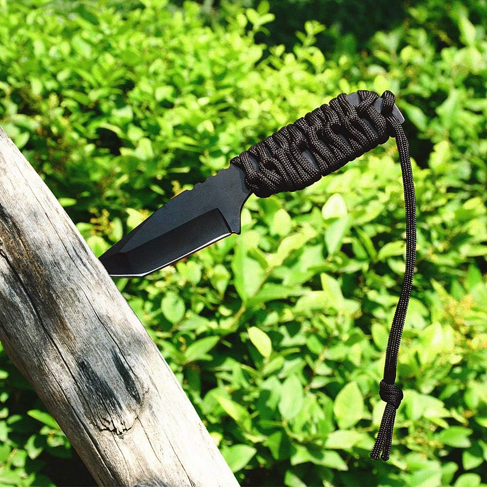 WEREWOLVES 550lb Paracord/Parachute Cord Type III 7 Strand - 100% Nylon Core and Shell - Multiple Colors : Sports & Outdoors