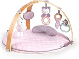 Ingenuity Cosy Spot Reversible Duvet Activity Gym Pink Calla 6 Toys