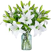 Hananona 9 Pcs Artificial Lily Easter Lily Flowers for Easter, White Flowers Fake Tiger Lily for Spring White Wedding Table Centerpiece Holiday Home Decoration (9, White)