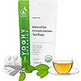 Kalanchoe Pinnata Leaves Tea Bags 100 Tea Bags Healthy Organic Leaves Herbal Tea