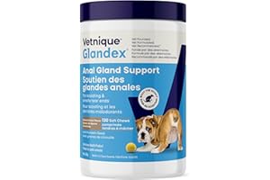 Glandex Anal Gland Soft Chew Treats with Pumpkin for Dogs Chews with Digestive Enzymes, Probiotics Fiber Supplement for Dogs 