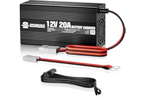 DC House 14.6V 20A Lithium Battery Charger, 12V AC-DC LiFePO4 Charger with Battery Quick Connector & LED Indicator, Smart 300