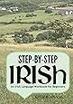 Step-by-Step Irish: An Irish Language Workbook for Beginners