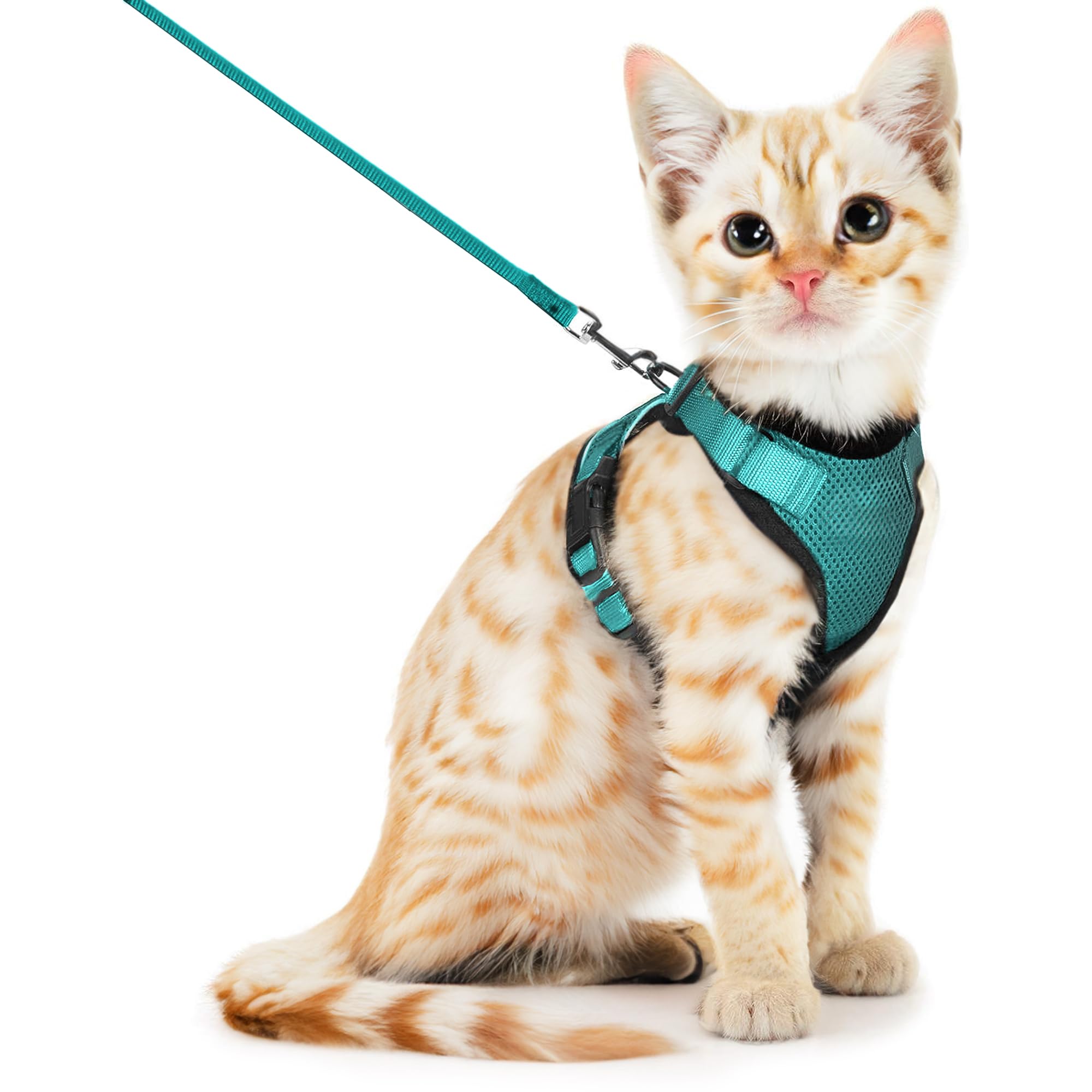 SOKANA Cat Harness and Lead Set for Walking Escape Proof - Lightweight Secure Kitten Harness and Lead Set also for Dogs Puppy Pet Small Size | Green