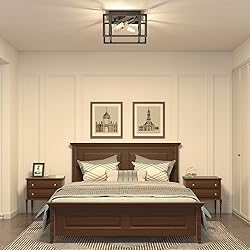 Feanron 2-Light Flush Mount Ceiling Light