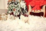 Unique style paws Christmas Dog Collar Bowtie Medium Dogs Cats 31-56cm view 5