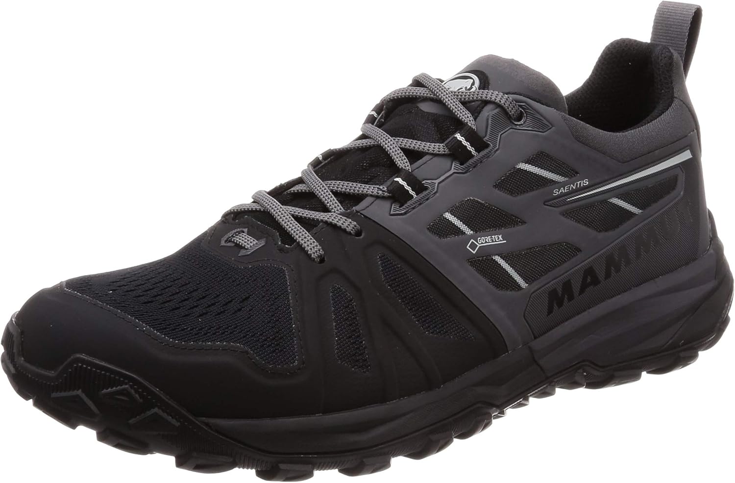 mens tibai gtx low shoe