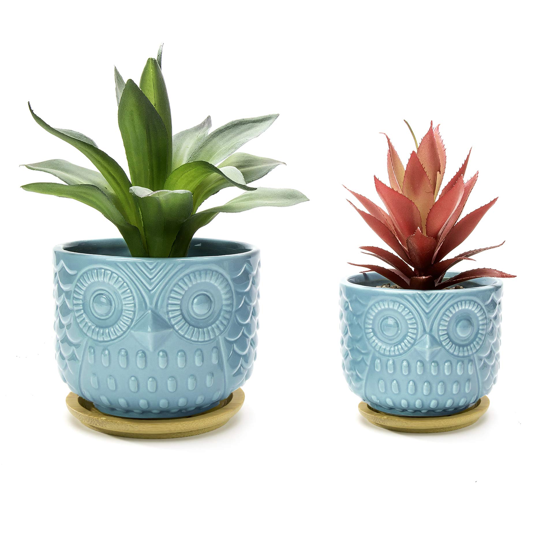 Nattol Owl Succulent Planter, Turquoise Animal Planter Pots with Drainage Hole and Bamboo Saucer, Set of 2