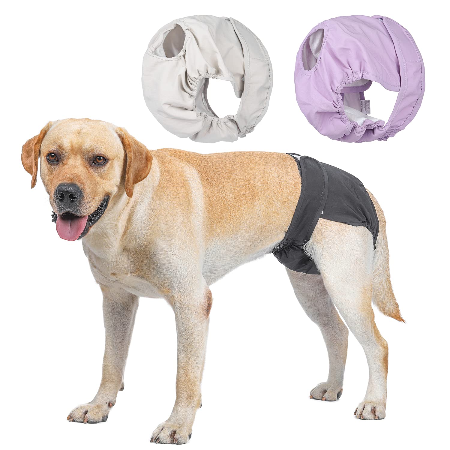BePetMia Washable Dog Diapers for Female Dogs in Heat, 3-Pack M: 15.7"-21.7" (Medium)