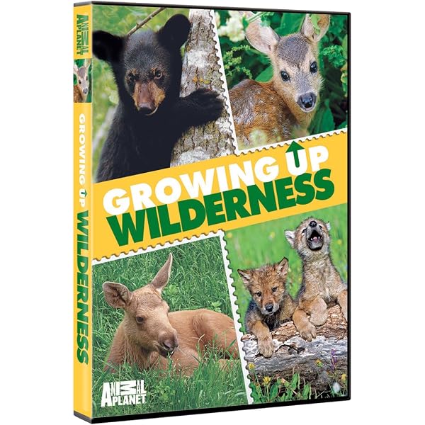 Amazon.com: Growing Up Wild Cats [DVD] : Growing Up Wild Cats, Not