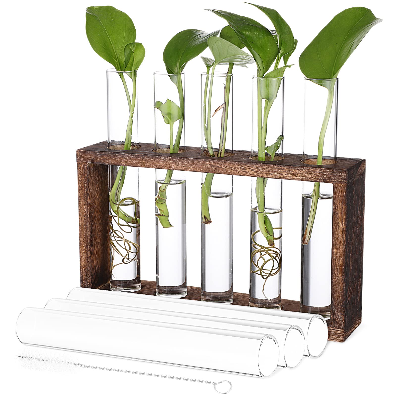 iplusmile Test Tube Propagation Station Tabletop Hanging Glass Planter Vase Tubes with Wooden Test Tube Holder, Propagating Hydroponic Plants Decoration for Home Office