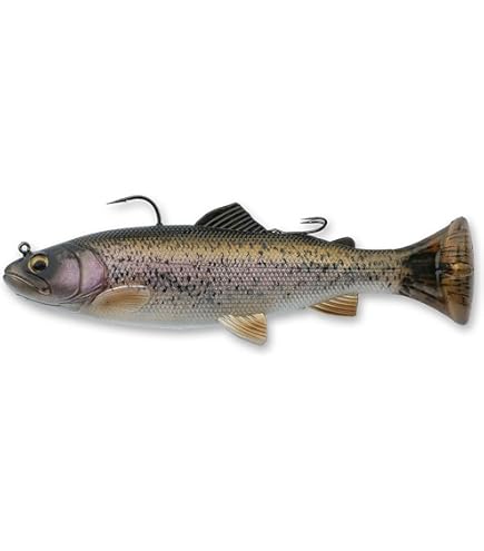 Brook ブルック　Cutthroat Trout Sweat L Brook Trout (Golden Ridge Reserve) - Fish Species - COTW