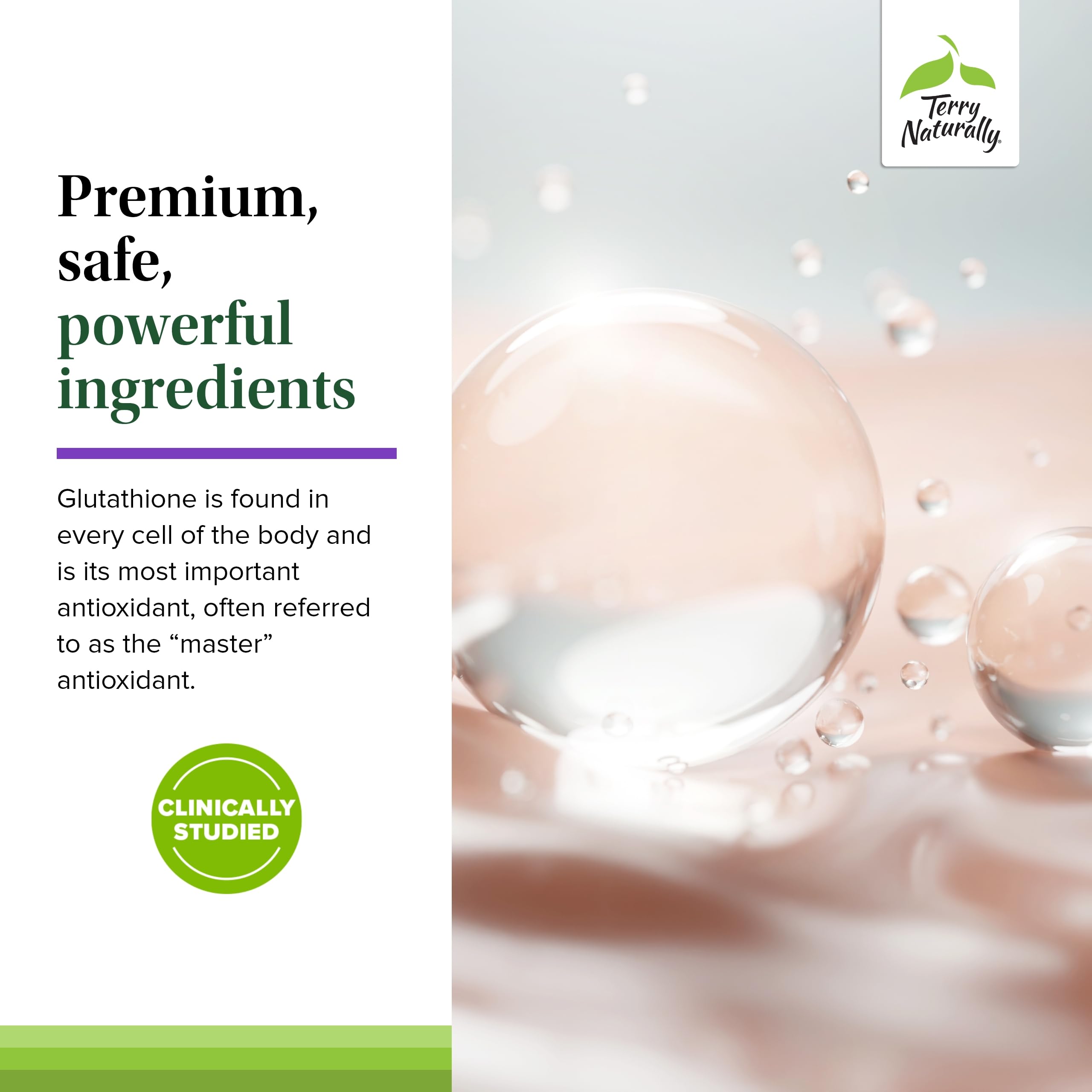 Terry Naturally Clinical Glutathione - Antioxidant for High Absorption - Dietary Supplement with L-Glutathione - Vegan Supplement to Support Cell Health - 60 Slow Melt Tablets