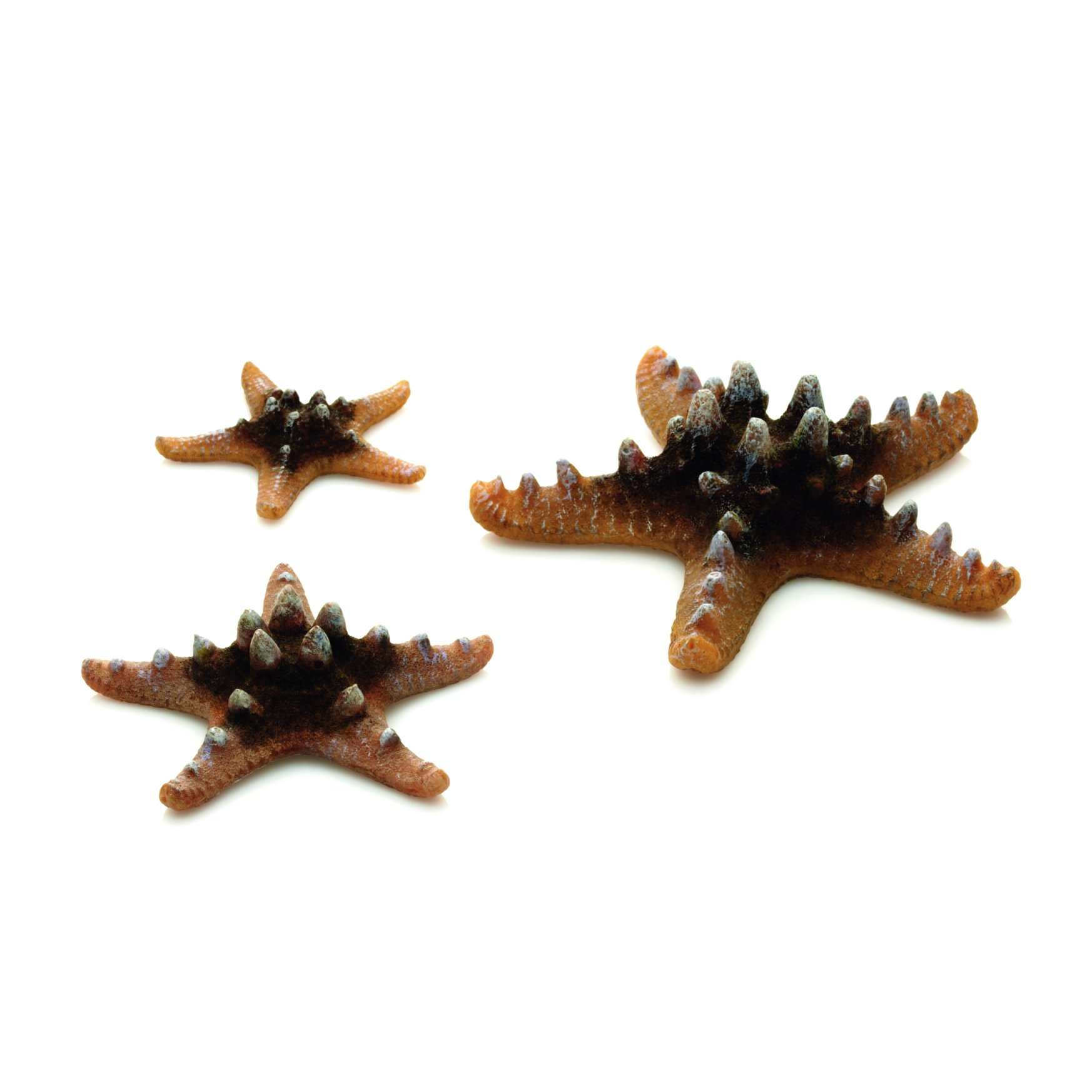biOrb Ornament Sea Star Set, Natural