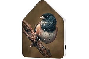 RELAXOUND Original Birdybox American Robin - Modern Nature Sound Box - Relaxing Cheerful Bird Concert - Motion Sensor with Sound - Relaxing Tool