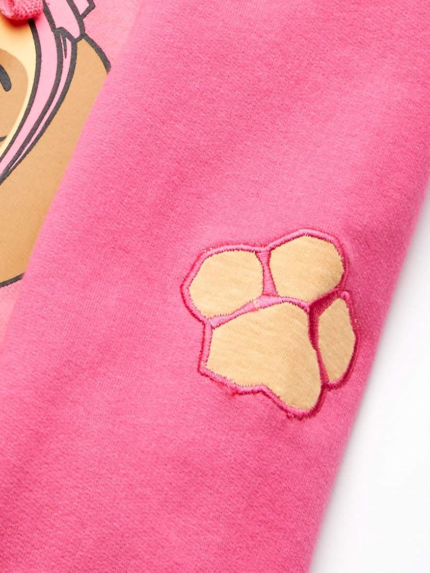 Paw Patrol Skye Toddler Girl Hoodie: Clothing