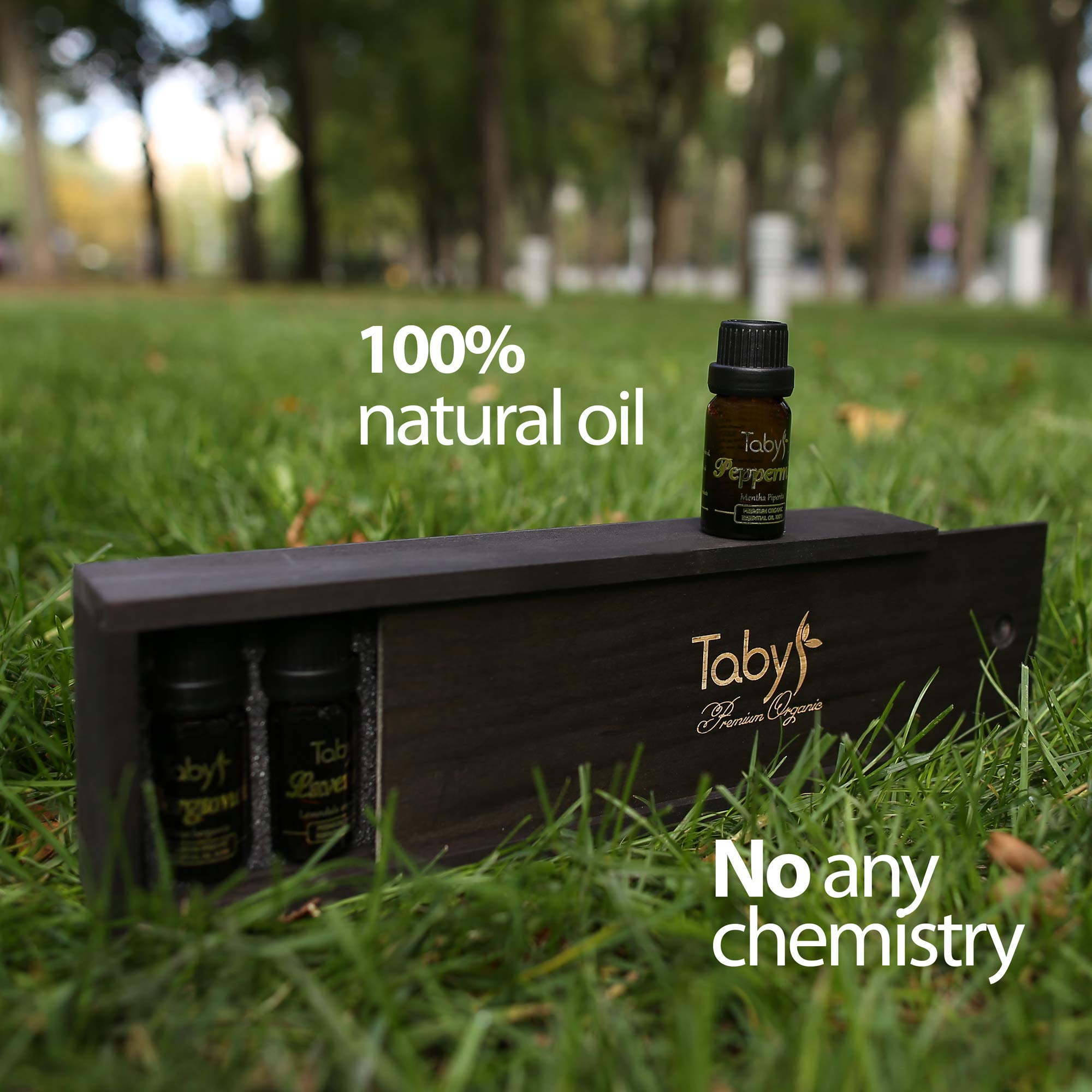 Aromatherapy Essential Oils 100% Natural 8 Oils Gift Set - Bergamot, Lavender, Tea Tree, Peppermint, Lemon, Eucalyptus, Orange, Rosemary