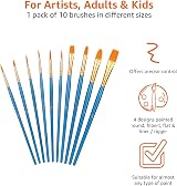 Amazon Basics Paint Brush Set PBT Wood Handle 10-Piece Assorted Sizes view 3