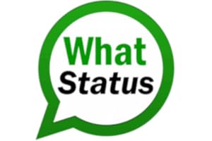 new WhatStatus