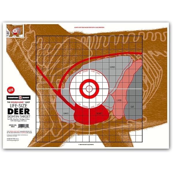 amazon-com-champion-deer-vitals-paper-target-14x18-12ct-airsoft-targets-sports-outdoors