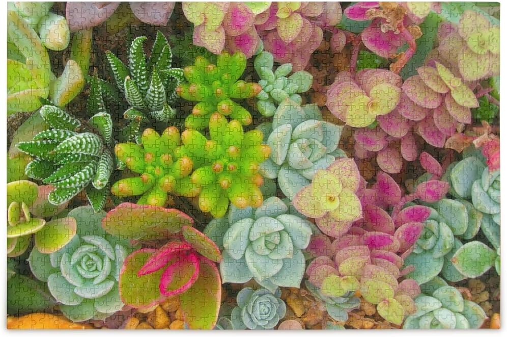 XZY Home Jigsaw Puzzle Succulents Difficult and Challenge for Adult Teen Families Learning Educational Puzzles Toys with Mesh Storage Bag 500 pcs 5010335