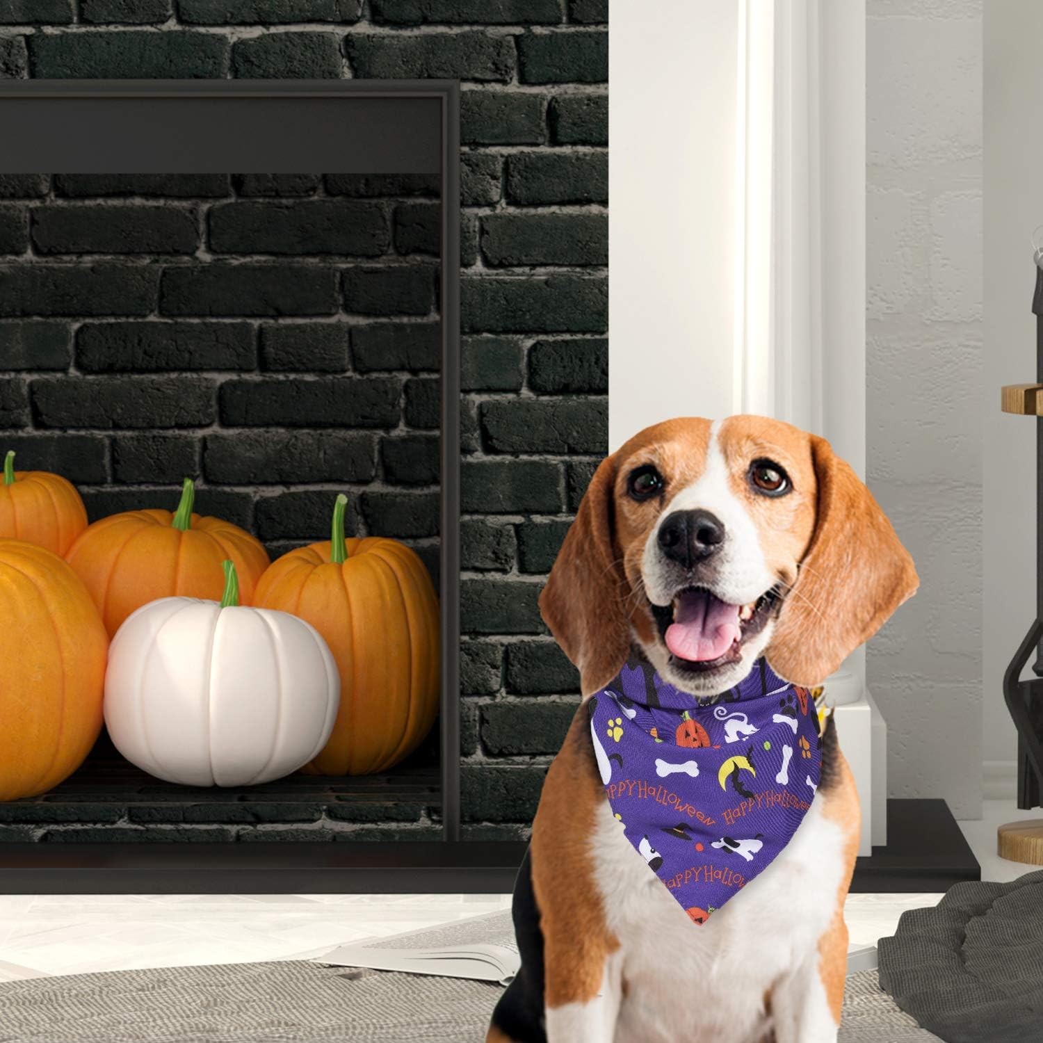 Whaline 5 Pack Halloween Dog Bandanas, Triangle Pet Scarfs Washable Pet Neckerchief Dog Bibs, Pumpkin, Ghost, Candy Corn and Bones Pet Bandanas : Pet Supplies