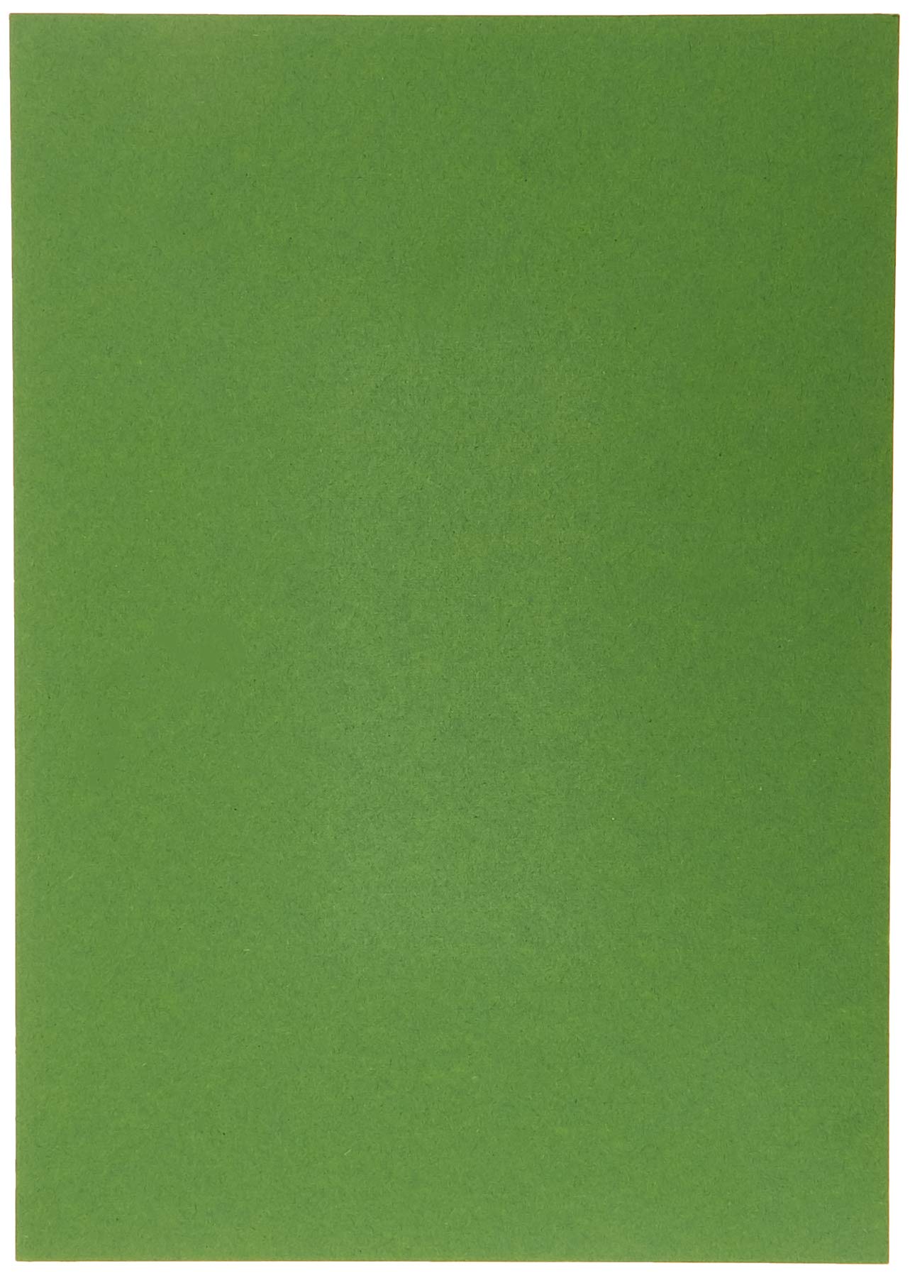 HEYDA Photo Card A4 300 g Foliage Green Pack of 50