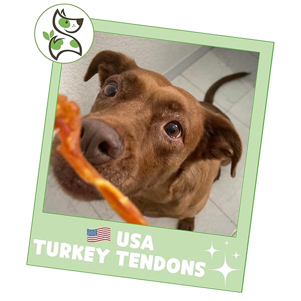 NATURE GNAWS USA TURKEY TENDONS FOR DOGS (4OZ) – DELICIOUS GRAIN FREE REWARD SNACK FOR SMALL, MEDIUM & LARGE BREEDS – PREMIUM NATURAL DOG CHEW TREATS