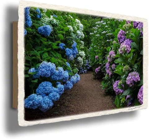 Amazon Co Jp 和紙 アート パネル 花 紫 初夏 両脇にアジサイが咲く小径 60x40cm 風水 玄関 に 飾る 絵 絵画 金運 おしゃれ インテリア トイレ 和風 アイテム グッズ ホーム キッチン