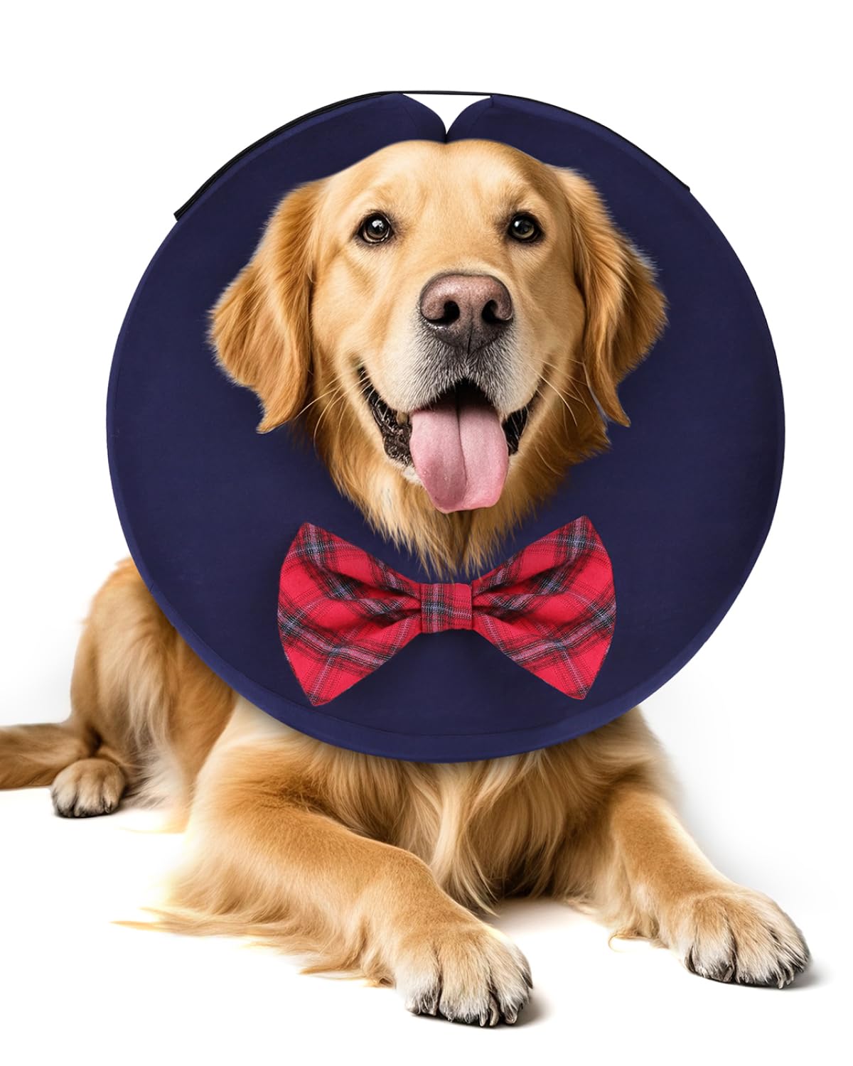 Photo 1 of MIDOG Dog Cone Collar for Large Medium Dogs, Soft Inflatable Dog Cone Alternative After Surgery, Adjustable Protective Recovery Cone - Alternative E Collar Does Not Block Vision (Bow Tie,XL)