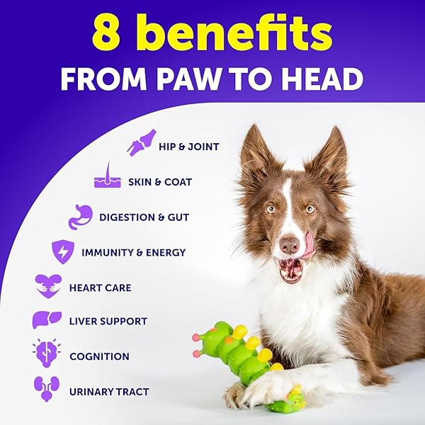 DOG MULTIVITAMIN CHEWABLE WITH GLUCOSAMINE 20 IN 1 – DOG VITAMINS AND SUPPLEMENTS – SENIOR & PUPPY MULTIVITAMIN FOR DOGS – PET JOINT SUPPORT HEALTH – IMMUNITY, MOBILITY, GUT SKIN – 120 CHEWS