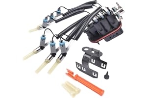 NEWZQ Central Fuel Spider Injector w/Bracket 4.3L V6 Compatible with Chevy Astro Blazer C1500 Express 1500/2500 Silverado 1500 1996-2002 12568332 FJ10565 19210688