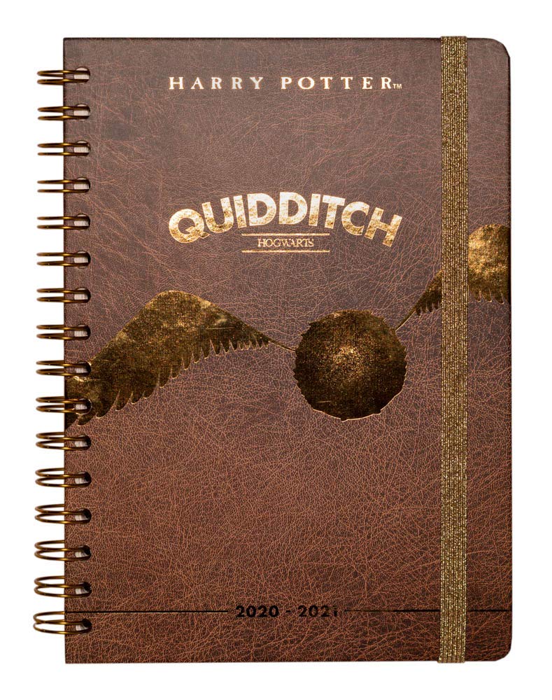 Erik - Harry Potter Academic Diary 2020-2021 A5 Week to View, Mid Year Diary - 12 Months