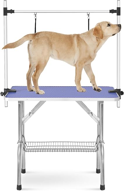 big bear animal hospital