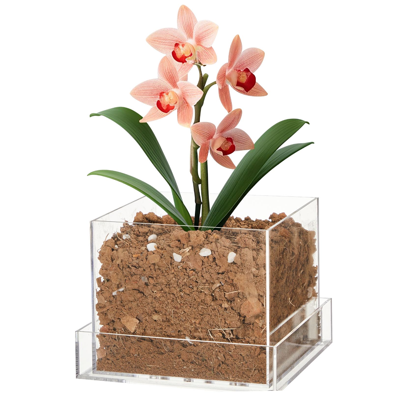 Photo 1 of Sunnychicc Clear Plant Nursery Pots Acrylic Orchid Pots with Drainage Holes and Tray Transparent Planter for Indoor Plants, Succulents, Herb, Flowers and Cactus Decorative(6 Inches,Square)