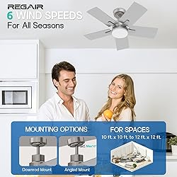 Regair Ceiling Fan 32 Inch, Remote Control DC
