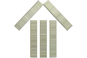 Toicann 18 Gauge Brad Nails 304 Stainless Steel 18 GA Nail Gun Nails Assorted and Small Finishing Nails for Pneumatic, Electric Brad Nailer (1 inch)