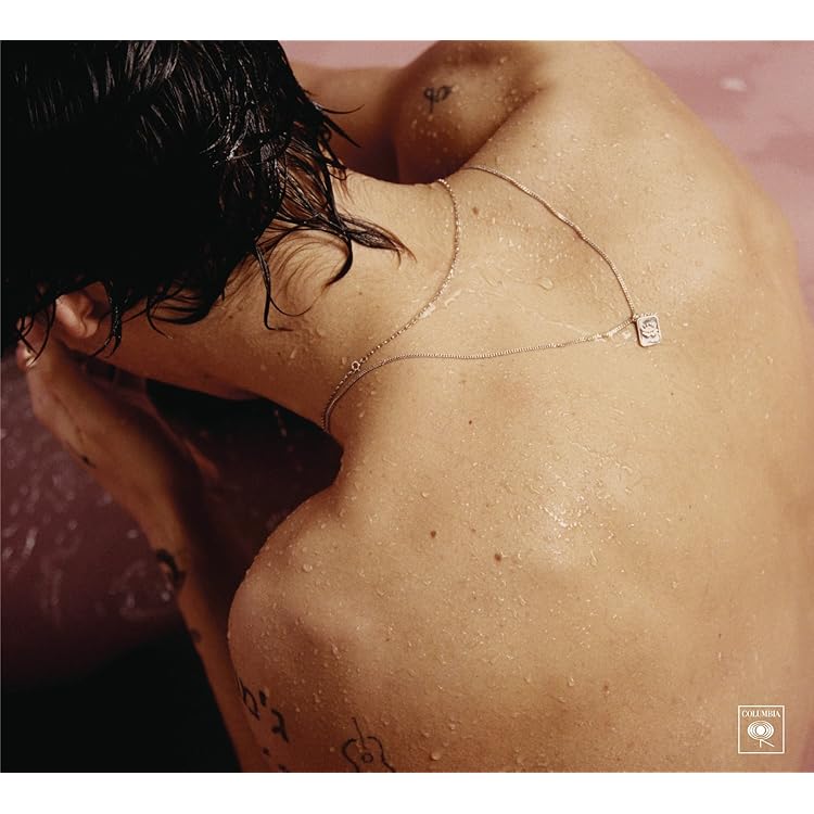 Harry'S House (Vinyl): Amazon.ca: Music