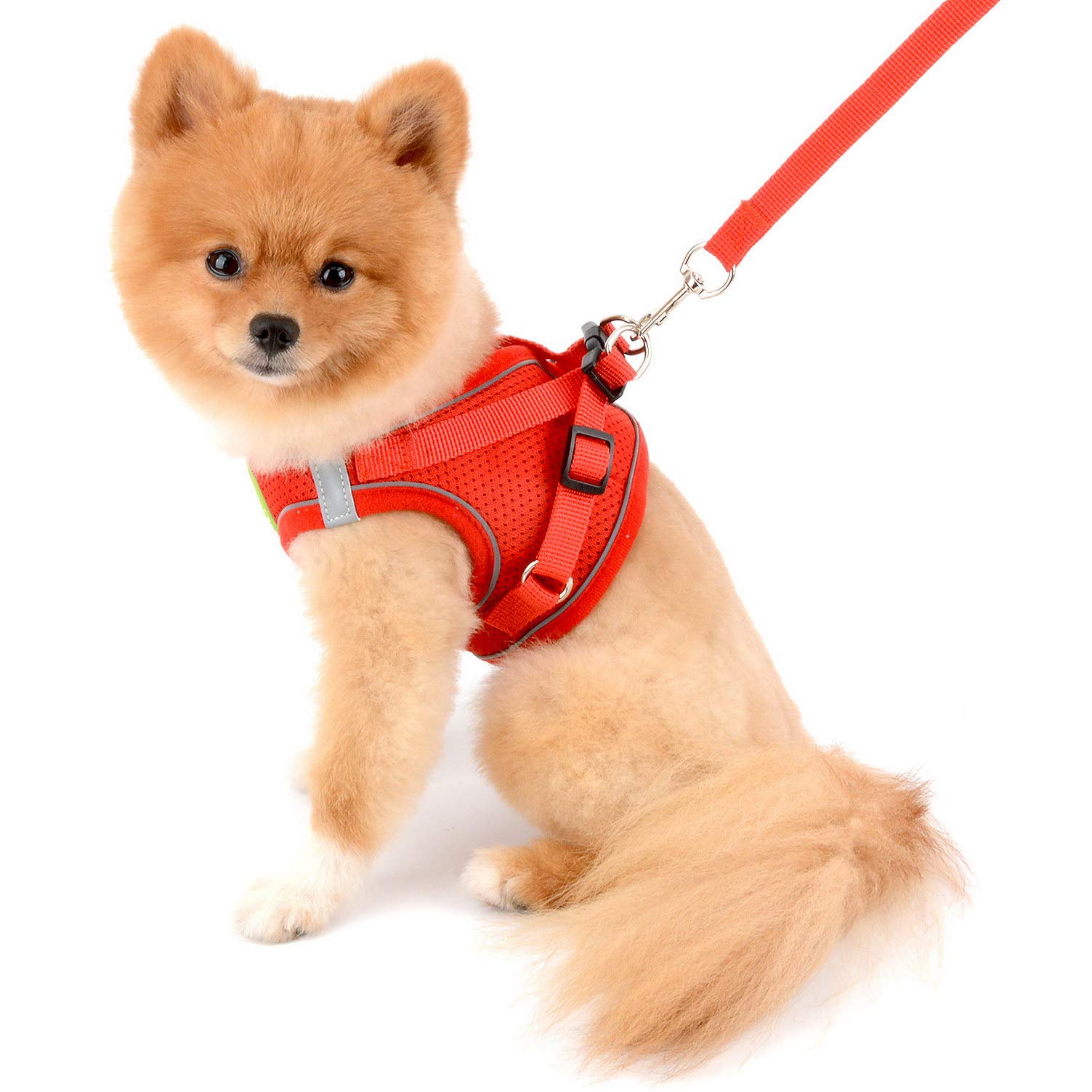 SMALLLEE_LUCKY_STORE Soft Mesh Step-in Small Dog/Cat Harness and Lead Set for Walking Reflective Puppy Vest Harness Outdoor Training,Red,Size S