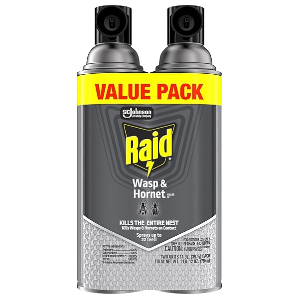 RAID WASP & HORNET KILLER SPRAY, BUG KILLER KILLS THE ENTIRE NEST, 14 OZ, 2 COUNT