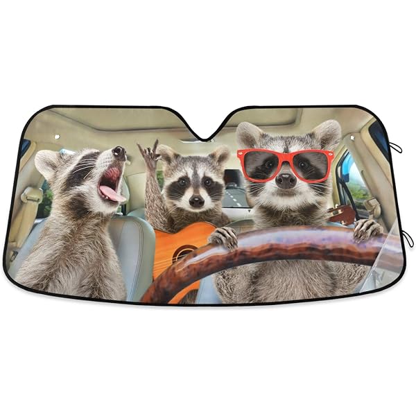 Amazon.com: Begarm Three Funny Raccoons Animals Windshield Sun