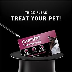 Capstar (nitenpyram) Cat Flea