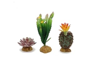 JIHAQUA Reptile Plants Succulent, Artificial Desert Rain Forests Plants for Lizard Bearded Dragon Chameleon Gecko Snake Amphibian Terrarium Decor (Set 3)