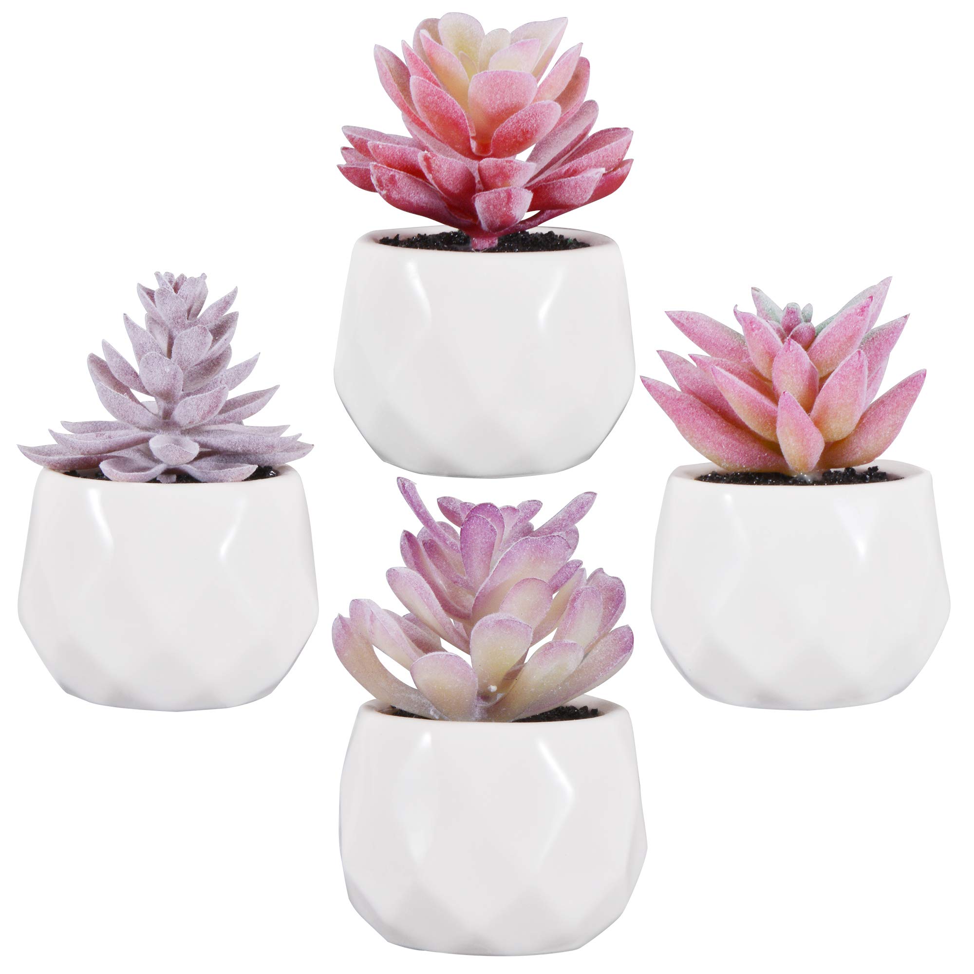 Zalava 4 Pcs Artificial Succulent Plants with Pot, Small Artificial Plants for Table Home Balcony Office Decoration