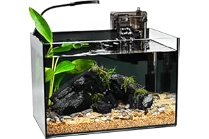 AHUA WALSONG Fish Tank,2.8 Gallon Small Aquarium Kit,Glass Small Fish Tank,Betta Fish Tank with Light and Filter, Small Transparent Glass Fish Tank with Light and Filter